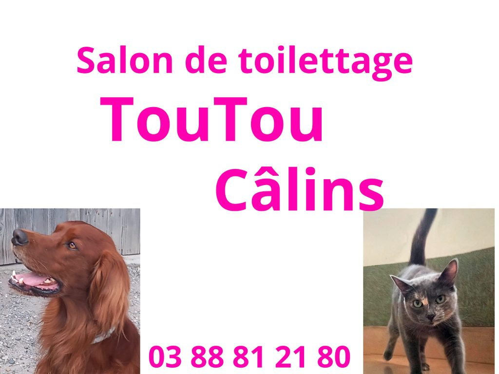 Toutou Câlins